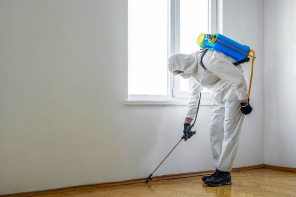 Best Best Pest Control Companies  in Wadesboro, NC