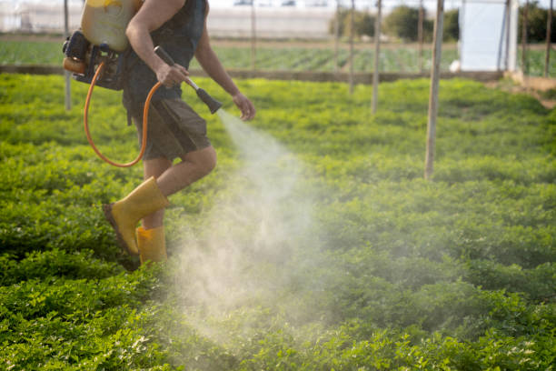 Best Pest Control Treatment  in Wadesboro, NC