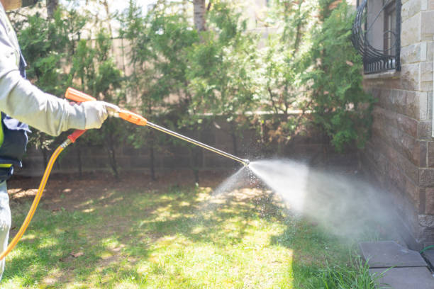 Best Termite Control Services  in Wadesboro, NC