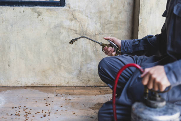 Best Pest Inspection Near Me  in Wadesboro, NC